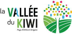 logo-kiwi-couleur.png